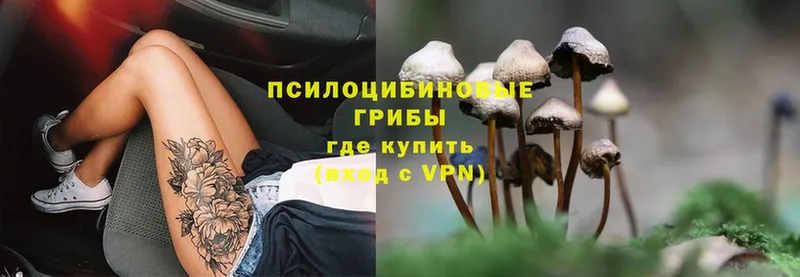 Псилоцибиновые грибы Magic Shrooms  Тавда 